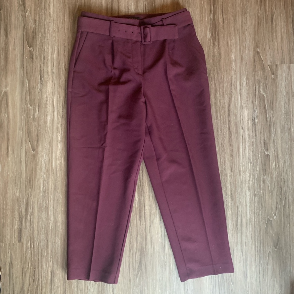 Purple Belted Ann Taylor Trousers - size 10